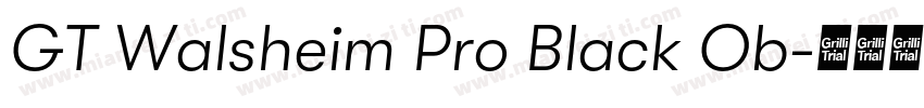 GT Walsheim Pro Black Ob字体转换